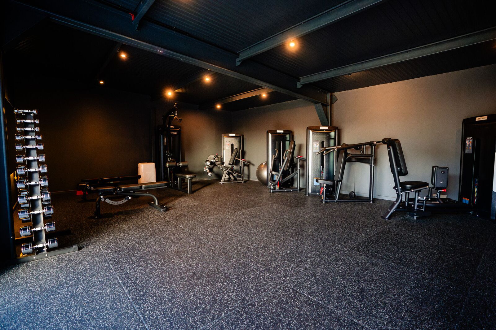The Foundation Zone with dumbbells and machines