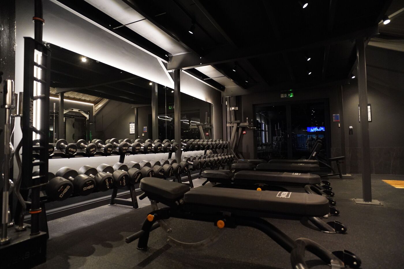 Dumbbell area with benches